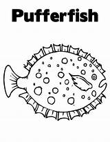 Puffer Fish Spotted Coloring Beautiful sketch template