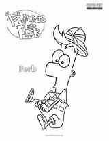Ferb Coloring Phineas sketch template