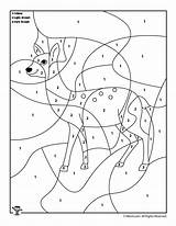 Deer Number Color Coloring Animal Pages Preschool Kids Printable Numbers Activities Animals Colors Folding Woojr Camel Sheets Choose Board Woo sketch template
