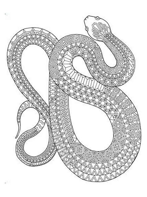 snake coloring pages  adults