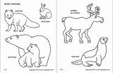 Arctic Animals Coloring Polar Pages Printable Animal Fox Templates Kids Choose Board Ocean sketch template
