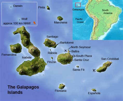 galapagos islands tours  travel guide