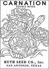 Coloring Pages Packets Doverpublications Seed Designs sketch template