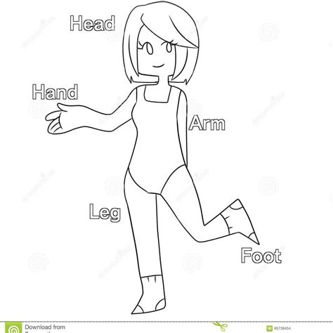 body parts  coloring coloring pages