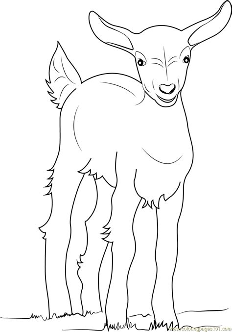 goat colouring coloring page
