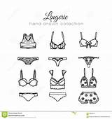 Biancheria Illustrazione Progettazione Reggiseni Profilo sketch template