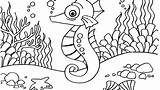 Seahorse Coloring Printable Pages Getcolorings sketch template
