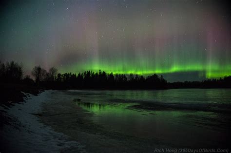 Minnesota Northern Lights Viewing And Photography 365