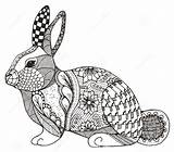 Zentangle Rabbit Coloring Pages Vector Illustration Animal Stock Zen Conejo Pattern Stylized Abstract Bunny Hand Ornate Freehand Drawn Pencil Designs sketch template