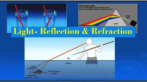 ncert solutions  class  science light reflection  refraction