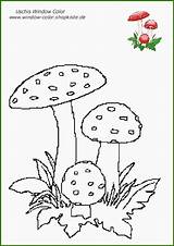 Vorlagen Herbst Pilze Malvorlagen Unglaublich sketch template