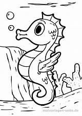 Seepferdchen Malvorlage Zeepaardje Kleurplaat Ausmalen Ausmalbild Fische Kostenlose Unterwasser Wasser Printen Om Muscheln Tekening sketch template