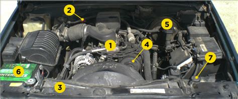 car   hood diagram