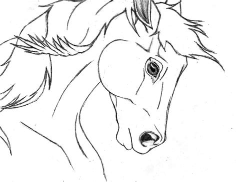 easy drawing horses  getdrawings