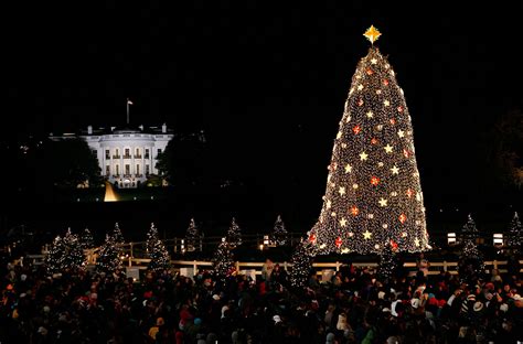 national christmas tree  lighting