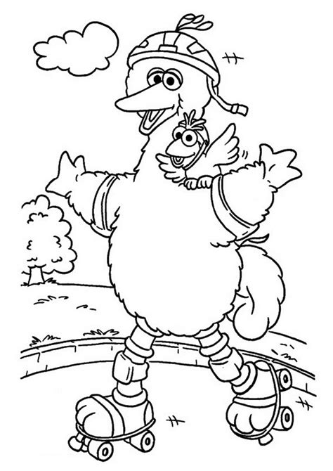 big bird coloring pages books    printable
