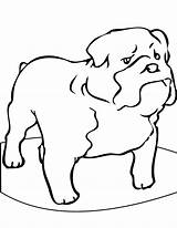 Coloring Bulldog Pages English Printable Georgia Kids Dog Bull Dogs Library Clipart Animal Popular Coloringhome sketch template
