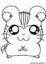 Hamster Cute Coloring Pages Printable Print Color sketch template