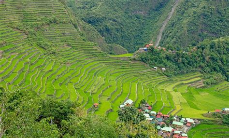 Batad Rice Terraces 2020 Complete Diy Travel Guide