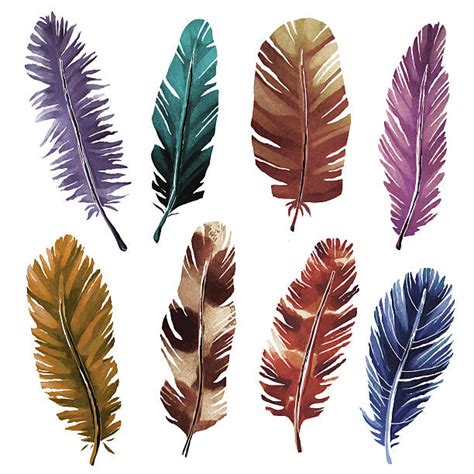 turkey feathers illustrations royalty free vector graphics and clip art
