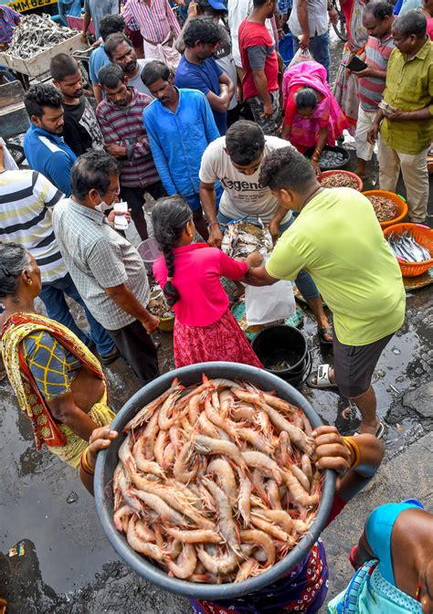 visakhapatnam fishing harbour   season  shrimps  hindu