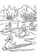 Bamby Ducks Tulamama šest Bojanke Crtež Gifgratis sketch template