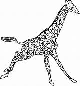 Girafe Giraffe Girafa Jirafas Colorat Correndo Jirafa Kleurplaten Ausmalbild Animale P20 Saltando Planse Pintar índice Floresta Malvorlage Girafas Paginas Girafes sketch template