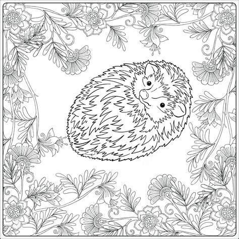 adult coloring pages garden  getdrawings