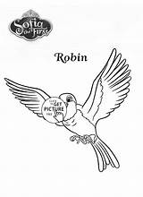 Robin Bird Coloring Pages Kids Girls Disney Sofia First Visit sketch template