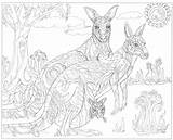 Coloring Pages 11x17 Blank Getcolorings Print sketch template
