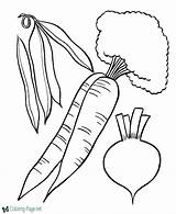 Food Coloring Pages Color Printable sketch template