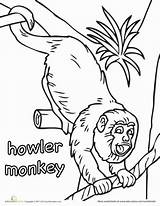 Monkey Howler Coloring 389px 4kb sketch template