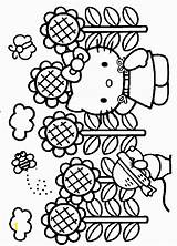 Kitty Sunflower Kolorowanki Dla Sheets Animati Cartoni Kid Malowanki Tana Herrlein Hellokitty Divyajanani Jardim Colorare Obrazki Obrazek Starklx Girassóis sketch template