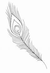 Feather Coloring Peacock Eagle Pages Outline Drawing Feathers Bird Turkey Line Color Easy Printable Getcolorings Getdrawings Drawn Paintingvalley Colo Drawings sketch template