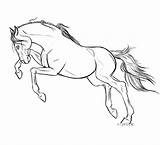 Horse Lineart Deviantart Clip Use Cliparting Personal Works Projects These Related sketch template
