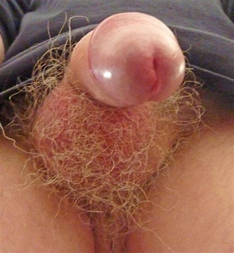 hairy uncut cock cum