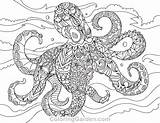 Octopus Ausmalen Sagittarius sketch template