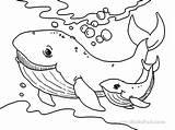 Coloring Pages Sea Cute Animals Whale Print Cartoon Getcolorings Printable Getdrawings Baby sketch template