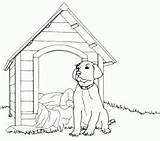 Kennel Dog Animals Front Pages Pages2color Coloring Color Print sketch template