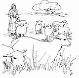 Sheep Coloring Pages Herdsmen sketch template