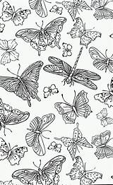 Kleurplaten Butterflies Vlinders Dragonflies Volwassenen Vlinder Kleuren sketch template