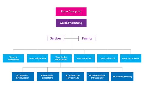 organigramm tauw