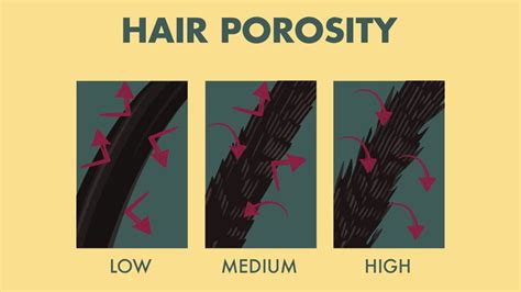 hair porosity    type    treat