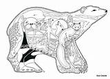Earthartinternational Mandalas Animales sketch template