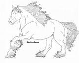 Clydesdale Percheron Lineart Horses Foal sketch template