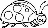 Ladybug Mariquitas Biedronka Animados Coccinelle Chachipedia Obrazek Mariquita Catarina Snails Risultati Radosna Pokoloruj Mamydzieci Insects Tylko sketch template