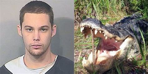 florida man devoured by alligator while hiding from police