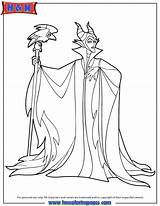 Sorceress Maleficent Bosco Addormentata Designlooter sketch template