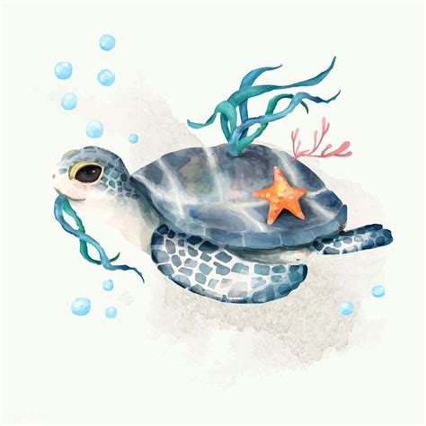 illustration  turtle premium image  rawpixelcom busbus