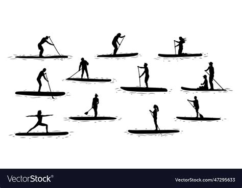 stand  paddle boarding  silhouettes vector image